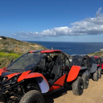 Preview of  BUGGY SAFARI (MORNING AND SUNSET)